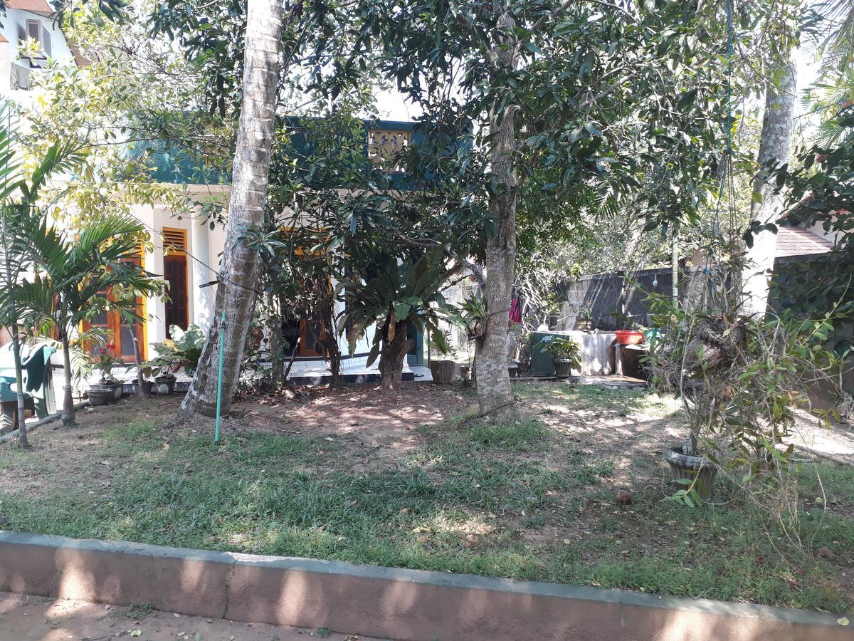Guesthouse Sunshine Aluthgama Eksteriør bilde