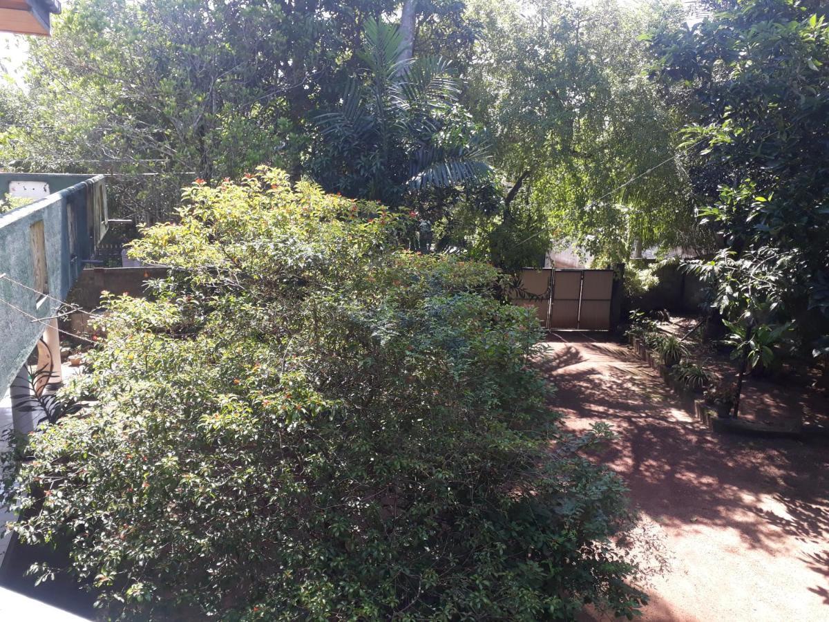 Guesthouse Sunshine Aluthgama Eksteriør bilde